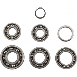 BEARINGS TRANS TBK0049 - 11060132 - Dr Rider