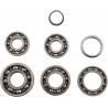 BEARINGS TRANS TBK0049 - 11060132 - Dr Rider