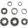 BEARINGS TRANS TBK0052 - 11060134 - Dr Rider