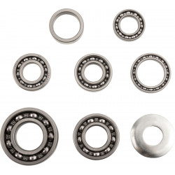 BEARINGS TRANS TBK0060 - 11060139 - Dr Rider