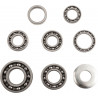 BEARINGS TRANS TBK0060 - 11060139 - Dr Rider
