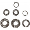 BEARINGS TRANS TBK0066 - 11060145 - Dr Rider