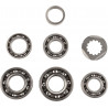 BEARINGS TRANS TBK0067 - 11060146 - Dr Rider