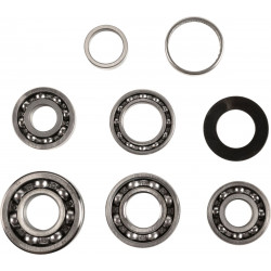 BEARINGS TRANS TBK0009 - 11060154 - Dr Rider