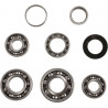 BEARINGS TRANS TBK0010 - 11060155 - Dr Rider