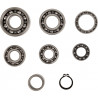 BEARINGS TRANS TBK0017 - 11060158 - Dr Rider