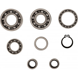 BEARINGS TRANS TBK0080 - 11060159 - Dr Rider
