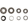 BEARINGS TRANS TBK0085 - 11060164 - Dr Rider