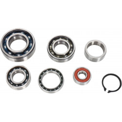 BEARINGS TRANS TBK0102 - 11060179 - Dr Rider