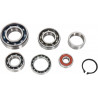 BEARINGS TRANS TBK0102 - 11060179 - Dr Rider