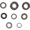 BEARINGS TRANS TBK0107 - 11060196 - Dr Rider