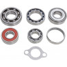 BEARING TRANSMISSION KIT - 11060197 - Dr Rider