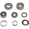 BEARING TRANSMISSION KIT - 11060199 - Dr Rider