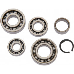 BEARING TRANSMISSION KIT - 11060202 - Dr Rider
