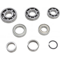 BEARING TRANSMISSION KIT - 11060204 - Dr Rider