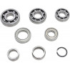 BEARING TRANSMISSION KIT - 11060204 - Dr Rider