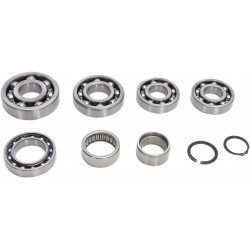 BEARING TRANSMISSION KIT - 11060205 - Dr Rider