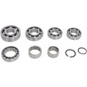 BEARING TRANSMISSION KIT - 11060205 - Dr Rider