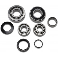 BEARING TRANS TBK0117 - 11060226 - Dr Rider