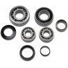 BEARING TRANS TBK0117 - 11060226 - Dr Rider