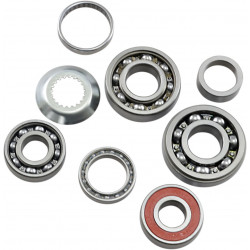 BEARING TRANS TBK0118 - 11060227 - Dr Rider
