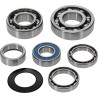 BEARING TRANSMISSION KIT HR001 - 11060261 - Dr Rider