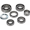 BEARING TRANSMISSION KIT HR001 - 11060262 - Dr Rider