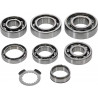 BEARING TRANSMISSION KIT HR001 - 11060263 - Dr Rider