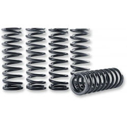 Ressorts d'embrayage Hinson haute température - Kawasaki KX450F 2006-2018 / KFX450R 2008-2014 - Dr Rider