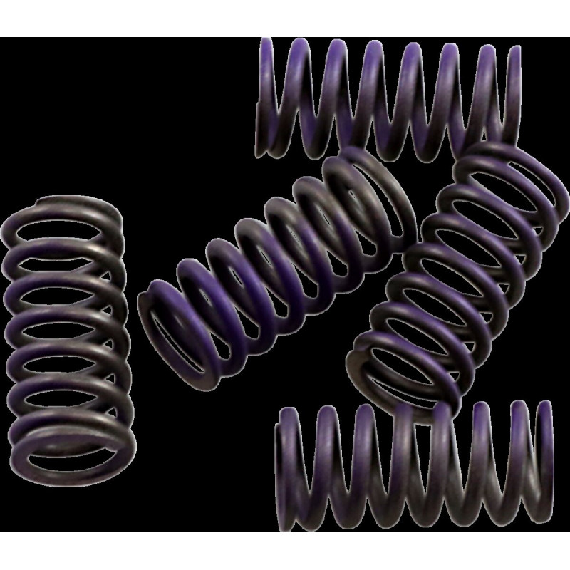 Ressorts d'embrayage Hinson haute température - Yamaha YZ250F 2001-2013 / WR250F 2001-2014 - Dr Rider