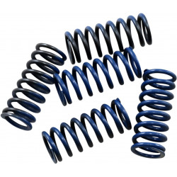 Ressorts d'embrayage Hinson haute température - Honda CRF250R 2004-2009 / CRF250X 2004-2017 - Dr Rider