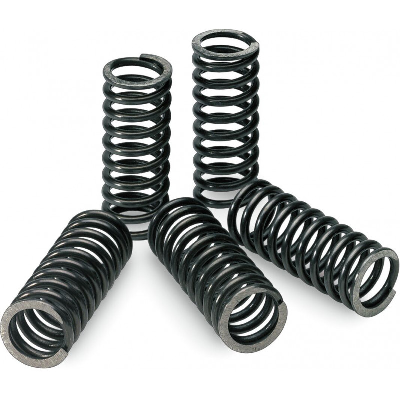 CLUTCH SPRINGS KXF/RMZ250 - 11310149 | Dr Rider