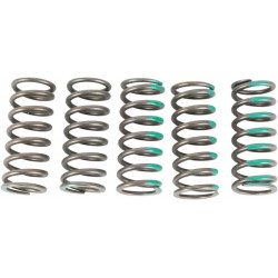 SPRINGS CLUTCH KX450F - 11310608 | Dr Rider