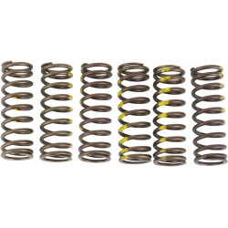 SPRINGS CLUTCH RMZ450 - 11310609 | Dr Rider
