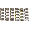 SPRINGS CLUTCH RMZ450 - 11310609 | Dr Rider