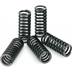SPRINGS CLUTCH RMZ450 - 11310609 | Dr Rider