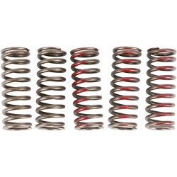 SPRINGS CLUTCH CRF250R - 11311906 | Dr Rider