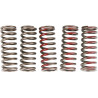 SPRINGS CLUTCH CRF250R - 11311906 | Dr Rider