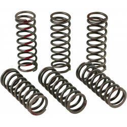 CLUTCH SPRINGS CRF450R - 11312428 | Dr Rider