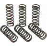 CLUTCH SPRINGS CRF450R - 11312428 | Dr Rider