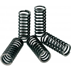 CLUTCH SPRINGS KAWASAKI - 11312430 | Dr Rider