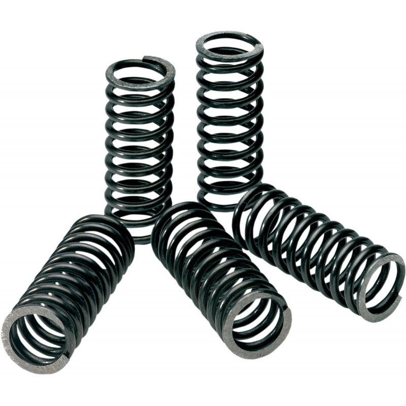 CLUTCH SPRINGS KAWASAKI - 11312430 | Dr Rider
