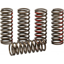 SPRINGS CLUTCH CRF250R - 11313265 | Dr Rider