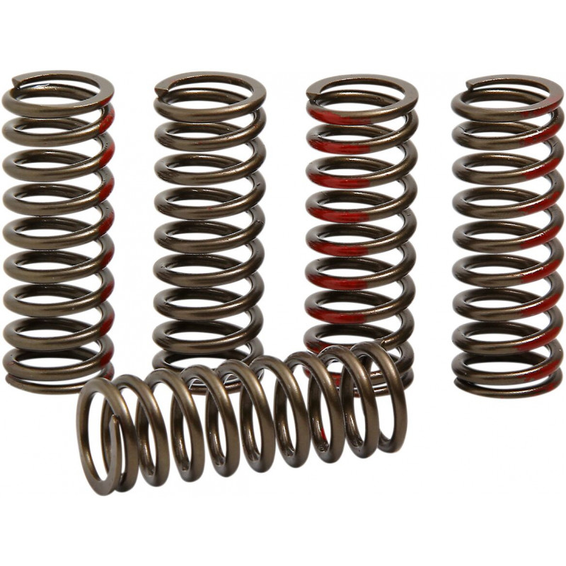 SPRINGS CLUTCH CRF250R - 11313265 | Dr Rider