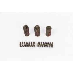 SPRNGS CLTCH CRF250R/X'20 - 11313558 | Dr Rider