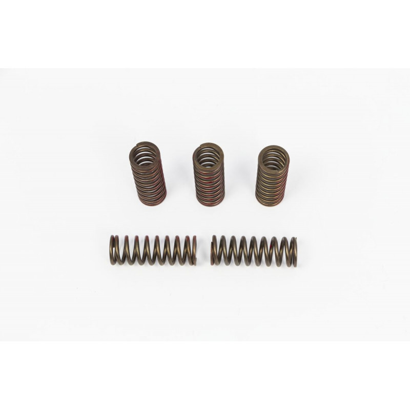 SPRNGS CLTCH CRF250R/X'20 - 11313558 | Dr Rider
