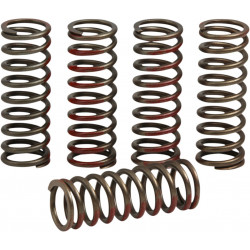 SPRNGS CLTCH CRF250R/X'20 - 11313558 | Dr Rider