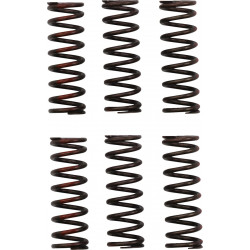CLUTCH SPRING CRF450R - 11313719 | Dr Rider