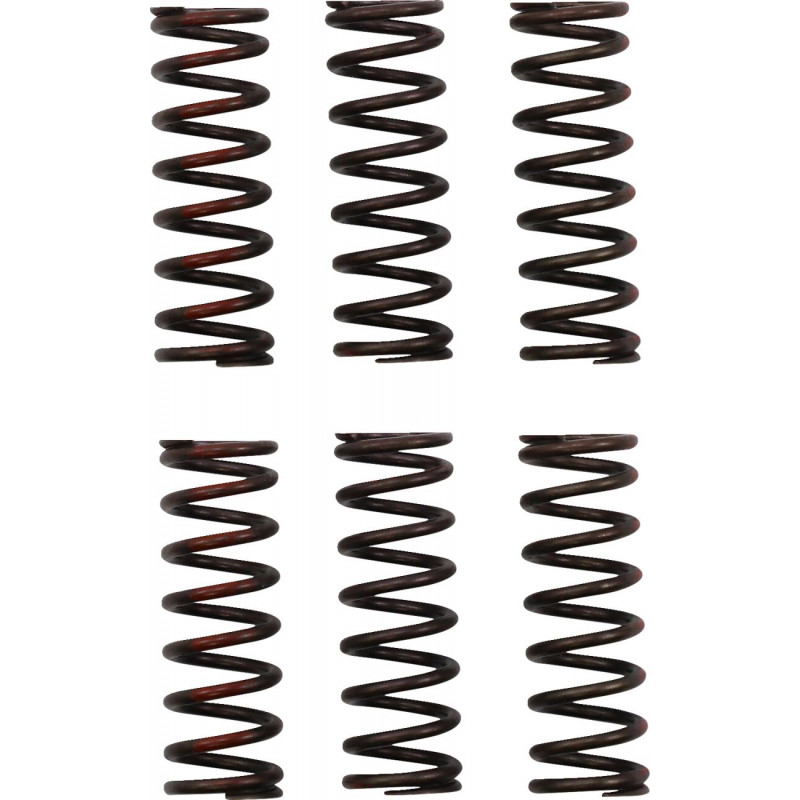 CLUTCH SPRING CRF450R - 11313719 | Dr Rider