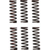 CLUTCH SPRING CRF450R - 11313719 | Dr Rider